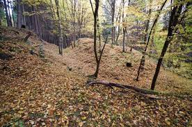 Uličný et al., 2002, 2009). Hradiste Hradecka Skala Archeologicke Stopy Pamatkovy Katalog