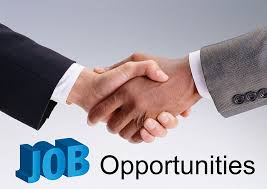 completing 12th standard missed call 91555 91555 we contact shortly with jobs opportunities for your ca secretarial services marketing quotes business loans
