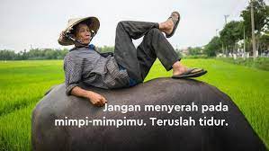 Lihat ide lainnya tentang gambar lucu, lucu, gambar. Kumpulan Gambar Gambar Lucu Dan Aneh Yang Bikin Ngakak