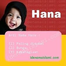 Bayi pelangi merupakan sebutan bagi mama yang pernah mengalami keguguran sebelumnya. Ini Arti Nama Hana Dalam Islam Idenamaislami Com