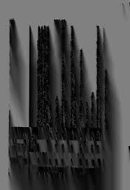 Image result for Neuracanthus decorus