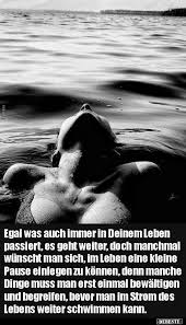 Ist klein der herd, wenn alles blitzt, kann glücklich sein, wer ihn besitzt. Egal Was Auch Immer In Deinem Leben Passiert Es Geht Lustige Bilder Spruche Witze Echt Lustig