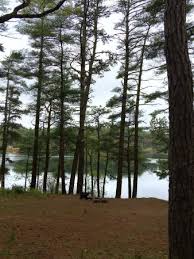 Rv campers visiting myles standish state forest during the established hunting season will get a chance to hunt for spectacular wildlife in the wilderness of the park's 15,000. Myles Standish State Forest Picture Of Myles Standish State Forest Plymouth Tripadvisor
