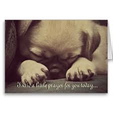 Cute Puppy Dog Get Well Soon Greeting Card In 2020 Get Well Soon Prayer For You Sick Pets