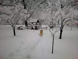 De astăzi, a început procesul de încălzire, iar meteorologii spun că vom avea parte de temperaturi uşor peste normalul lunii. Vremea Decembrie 2018 Cluj Rao Cluj Napoca