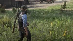 Pamphlets in red dead online are used to unlock new crafting recipes. Red Dead Redemption 2 Recipes With Sage