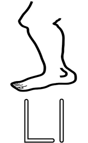 Some of the coloring page names are leg clip art at vector clip art online royalty public domain, leg clip art at vector clip art online royalty public domain, leg drawing clip art at vector clip art online royalty public domain, turkey foot clip art at vector clip art online royalty public domain, crow outline. Leg Coloring Page Printable Worksheets For Kids In 2021 Kids Worksheets Printables Coloring Pages Printable Coloring Pages
