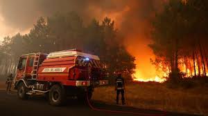 Une "plainte collective" va être déposée par la commune du Porge et les communes alentour touchées après les incendies en Gironde — franceinfo