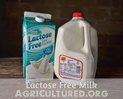 Lactose Free Milk My Fearless Kitchen