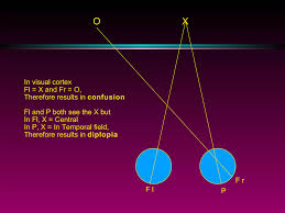 Image result for Visual Fixation