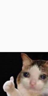 Sad Cat Giving A Thumbs Up Meme Template Memetemplatesofficial Your meme was successfully uploaded and it is now in moderation. sad cat giving a thumbs up meme