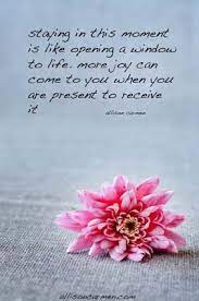 Quotes Inspiration Motivation Flower Quotes Flower Quotes Inspirational Quotes