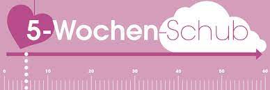 Wachstumsschub Baby 8 Baby Schube Im Uberblick Kidsgo