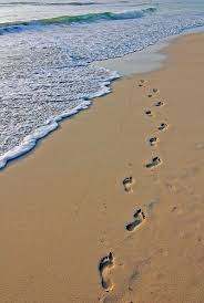 Photos on this beach in my dress, a must! Make Room For Living February 2009 Beach Drawing Beach Photography Beach Photos