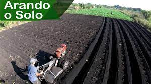 Arando O Solo Com Tobata Agricultor Pedro E Sua Horta Canteiro De Horta Youtube