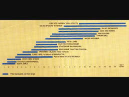 Trivandrum Developmental Screening Chart Developmental