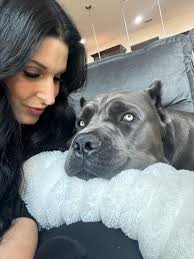 BEAU'S MORNING DIARY 🐾 Morgan (MOMMY)= my fave human 💚 but GRAM??? Gram  is PLUSH. Right now my pillow is literally her LEG. 🦵🛏️ Like… forget dog  beds, couches, blankets—Gram's leg is