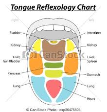 Tongue Reflexology Chart