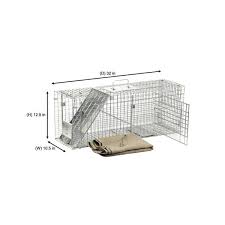 Thanks for ur help and support! Havahart Large 1 Door Collapsible Feral Cat Rescue Kit 1099 The Home Depot