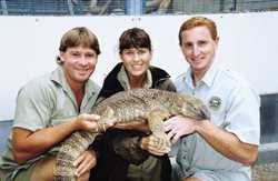 Steve irwin passed away on sept. Herp Expert Steve Irwin Interview Reptiles Magazine