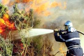 Le bilan des victimes des feux de forêt s'est alourdi pour atteindre les 65 morts au niveau national, 37 civils et 28 militaires, a précisé la cellule de. Installation De La Colonne Mobile De Lutte Contre Les Feux De Foret Toute L Actualite Sur Liberte Algerie Com