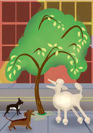 Maybe you would like to learn more about one of these? Protecting Trees From Dog Urine Air Conditioner Rules And Abandoned Cable Lines The New York Times