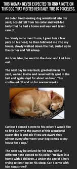 Best Letter Ever Found On A Dog S Collar This Is Priceless Dogs Dog Neck Dog Stories