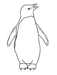Andy here is a picture of easton with his jellyfish! Adelie Penguin Coloring Page Penguin Coloring Penguin Coloring Pages Coloring Pages For Kids