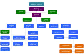 Organizational Chart Corporate Governance Papoutsanis