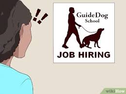 But a typical animal rescue shelter does not bring in much money (or any money at all). How To Become A Guide Dog Trainer 11 Steps With Pictures
