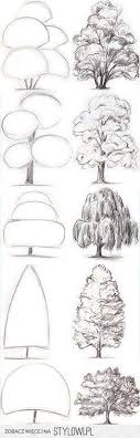 Zaznacz górny rysunek fantastycznej zimozielonych roślin z bajecznych dekoracji i to zielony papier (format a4 do kserokopiarek) zgiąć papier; Sign In Tree Drawing Drawings Sketches