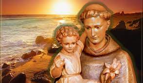 Ammirabile sant'antonio, glorioso per fama di miracoli e per predilezione di gesù, venuto in sembianze di bambino a riposare tra le tue braccia, ottienimi dalla sua (si dica la grazia che si ha nel cuore) della mia gratitudine, ti sia pegno la mia carità verso i bisognosi con i quali, per grazia di gesù. Preghiera Particolare E Potente A Sant Antonio Per Ottenere Una Grazia Che Ci Necessita Con Urgenza