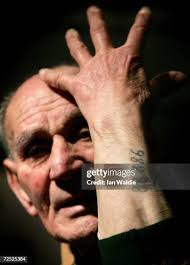 428 Greenman Stock Photos, High-Res Pictures, and Images