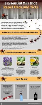 142 Best Pets And Essential Oils Essential Oils For Fleas Essential Oils Dogs Diy Essential Oils