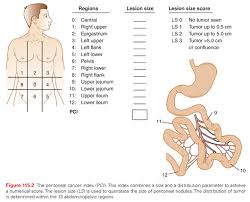 Peritoneal Metastases And Peritoneal Mesothelioma Oncohema Key