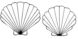 We did not find results for: How To Draw A Seashell Seashells Step By Step Drawing Guide By Dawn Dragoart Com