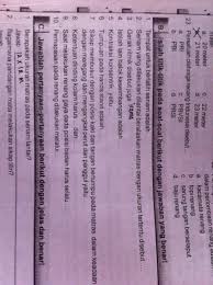 Kunci jawaban matematika kelas 8 kurikulum 2013 revisi 2017 semester 2. Kunci Jawaban Lks Penjaskes Kelas 8 Semester 2 Kurikulum 2013 Masnurul