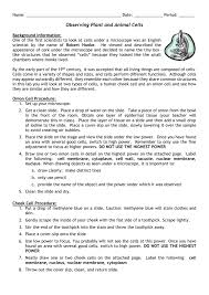 Check spelling or type a new query. Cheek And Onion Cell Lab