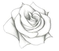 Trendy Flowers Sketch Pencil Step By Step 53 Ideas Easy Drawings Sketches Drawing For Beginners Flower Sketches Graphite pencils are available in a scale of hardness from.