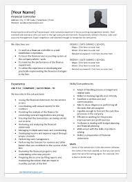 Developed annual budget for 25 departments, prepared monthly financial statements and assisted management team in financial and functional. Financial Controller Resume Template For Word Word Excel Templates