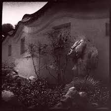 April 27, 2015april 28, 2015. In The Garden Miles David Scott Photography