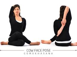 Yoga can be very beneficial in relieving bowel troubles. Yoga Poses Gomukhasana Cow Face Pose