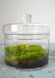 No Hands Terrarium Figurine Moss Terrarium Figurine Terrarium Accessory Terrarium Miniatures Bike Ride Terrarium Figurines Terrarium Moss Terrarium