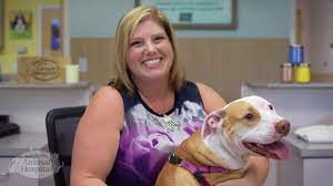 Established in the late 1970's, central animal hospital has been serving the st. Downtown St Pete Vet Clinic