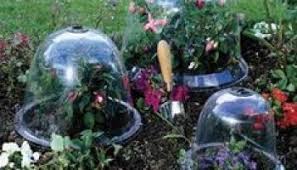 How to cover your garden for frost. Protecting Your Garden From Frost Hislop Co Horticulture