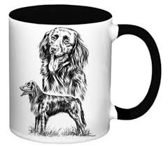 Image result for německý ohař dlouhosrstý