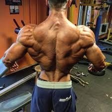 Natural Lean Shredded Bodybuilding Physique Gym Motivation Bodybuilding Gymspiration Instagram