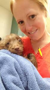 Meet ARF's newest staff member, Dr. Kelley Veneskey! Dr. Veneskey is seeing  patients at Arf's PAW clinic Tuesday's, Wednesday's, and Thursday's. Call  to schedule your appointment at 765-896-9224. Arf's PAW is for