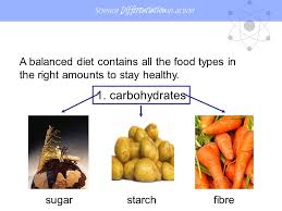 Grain ( cereal ) foods, mostly wholegrain and / or high cereal fibre varieties; Lesson Food Learning Outcomes 1 List Five Main Food Groups 2 Name The Sources Of The Five Main Food Groups 3 Explain The Function Of Each Of The Food Ppt Download