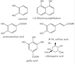 Maybe you would like to learn more about one of these? Structures Of Main Melanin Precursors In Plants Fungi And Download Scientific Diagram
